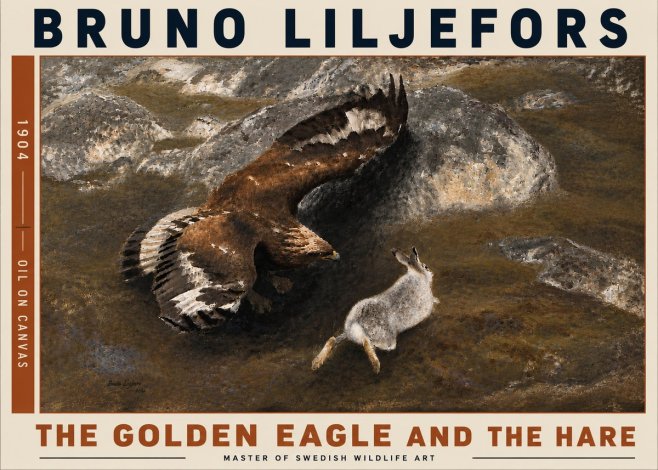 Bruno Liljefors The Golden Eagle and the Hare, 1904 No6 - Affiche