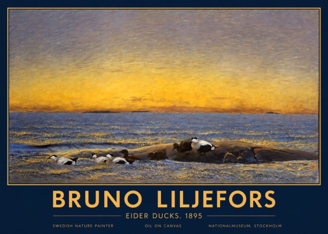 Bruno Liljefors Eider Ducks. 1895 No2 - Affiche