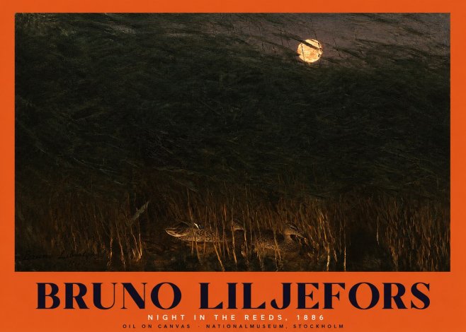 Bruno Liljefors Night in the Reeds No2 - Affiche