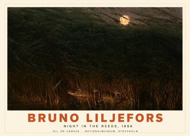 Bruno Liljefors Night in the Reeds No4 - Affiche