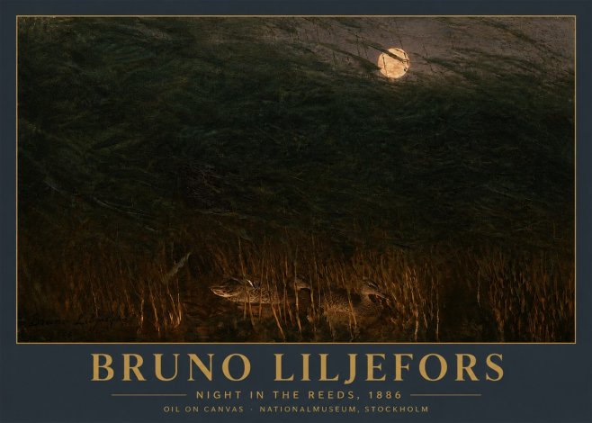 Bruno Liljefors Night in the Reeds No5 - Affiche