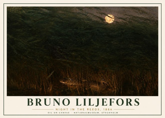 Bruno Liljefors Night in the Reeds No6 - Affiche