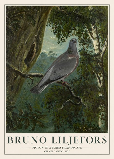 Bruno Liljefors Pigeon in a Forest Landscape No1 - Affiche