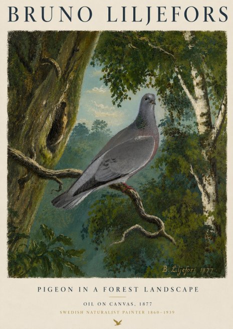 Bruno Liljefors Pigeon in a Forest Landscape No4 - Affiche