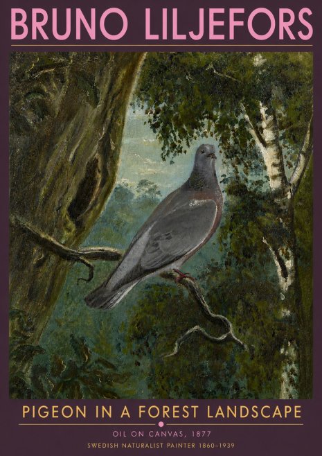 Bruno Liljefors Pigeon in a Forest Landscape No5 - Affiche