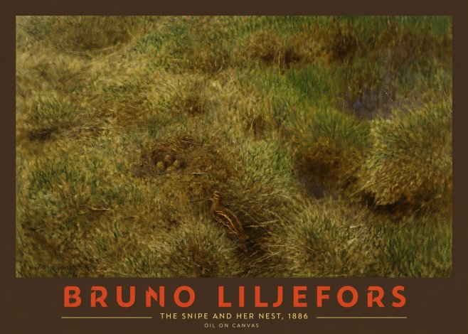 Bruno Liljefors The Snipe and Her Nest No2 - Affiche