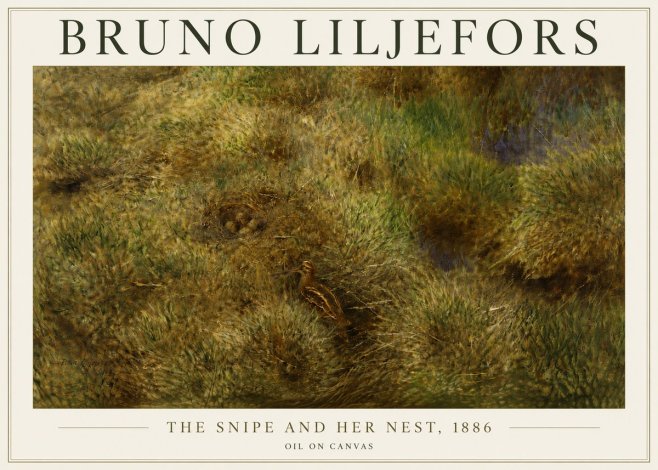 Bruno Liljefors The Snipe and Her Nest No5 - Affiche