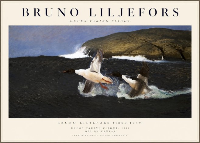 Bruno Liljefors Ducks Taking Flight No1 - Affiche