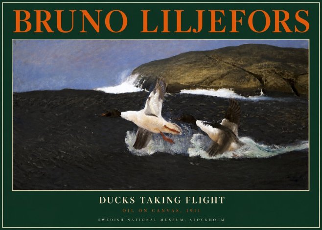 Bruno Liljefors Ducks Taking Flight No2 - Affiche