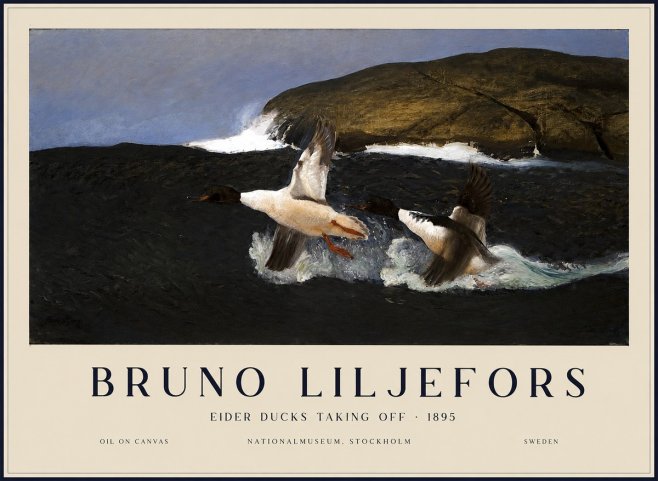 Bruno Liljefors Ducks Taking Flight No3 - Affiche