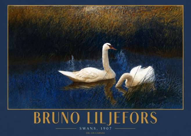 Bruno Liljefors Swans, 1907 No4 - Affiche