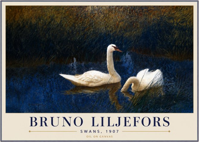 Bruno Liljefors Swans, 1907 No5 - Affiche