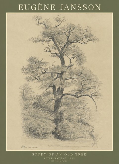 Eugène Jansson Study of an Old Tree No1 - Affiche