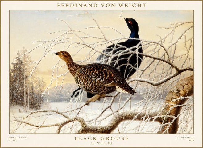 Ferdinand von Wright Black Grouse in Winter No1 - Affiche