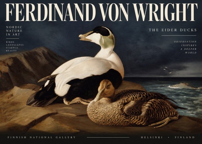 Ferdinand von Wright Eiders on a Rocky Shore No4 - Affiche