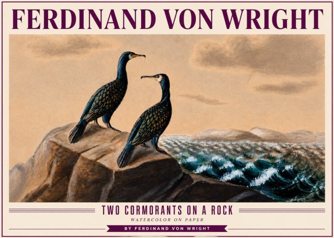 Ferdinand von Wright Two Cormorants on a Rock No4 - Affiche