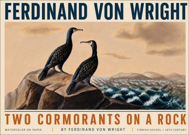 Ferdinand von Wright Two Cormorants on a Rock No5 - Affiche