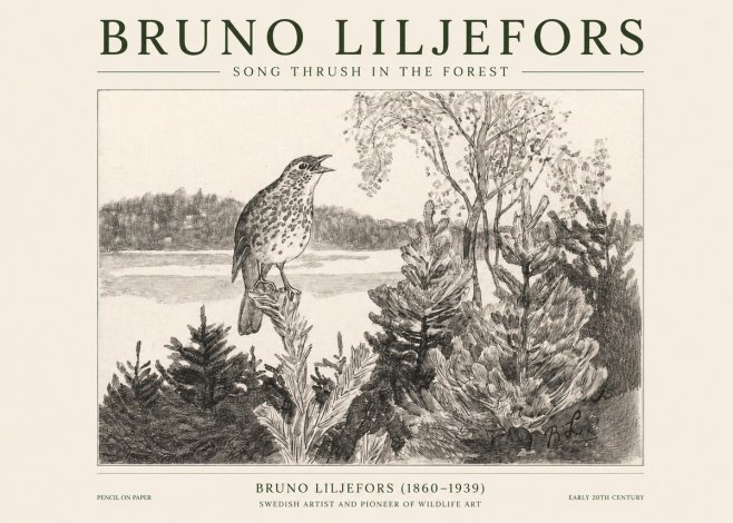 Bruno Liljefors Song Thrush in the Forest No1 - Affiche