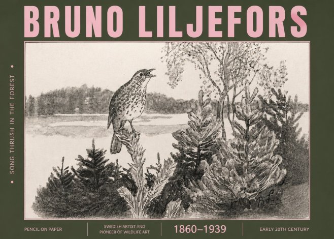 Bruno Liljefors Song Thrush in the Forest No4 - Affiche