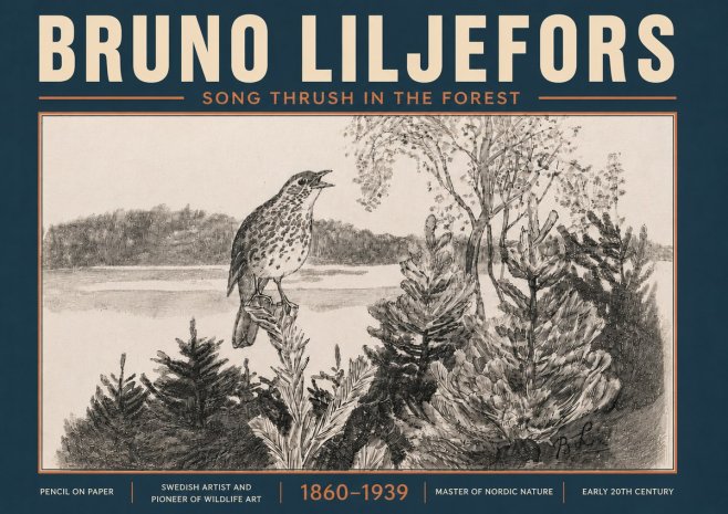 Bruno Liljefors Song Thrush in the Forest No6 - Affiche
