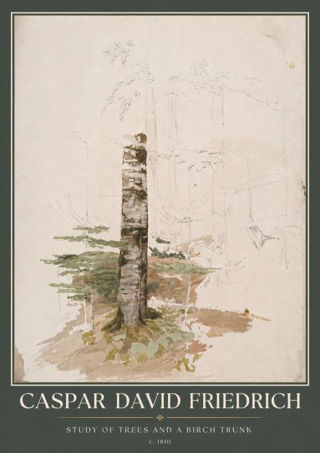 Caspar David Friedrich Study of Trees and a Birch Trunk No5 - Affiche