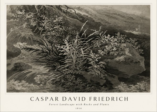 Caspar David Friedrich Forest Landscape with Rocks and Plants No1 - Affiche