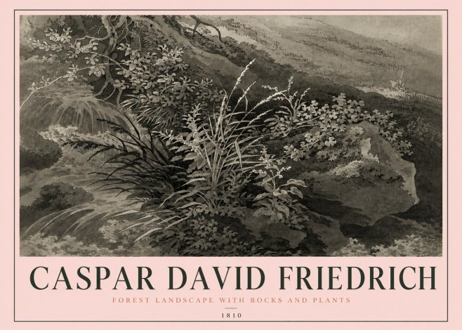 Caspar David Friedrich Forest Landscape with Rocks and Plants No4 - Affiche