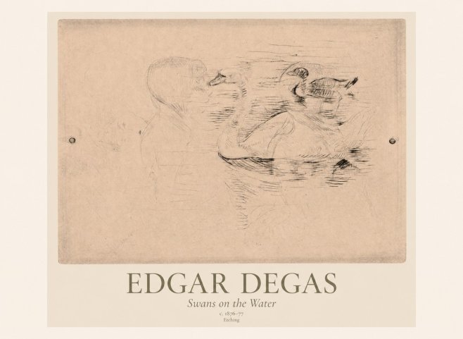 Edgar Degas Swans on the Water No1 - Affiche