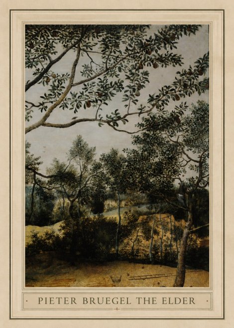 Pieter Bruegel Branch of a Pear Tree No1 - Affiche