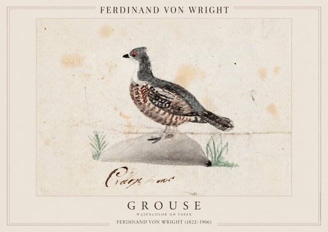Ferdinand von Wright Grouse No1 - Affiche