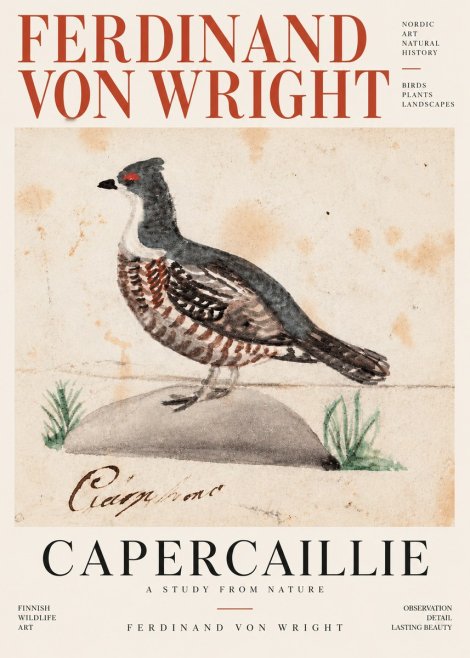Ferdinand von Wright Grouse No4 - Affiche