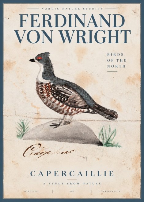 Ferdinand von Wright Grouse No5 - Affiche