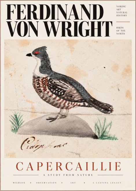 Ferdinand von Wright Grouse No6 - Affiche