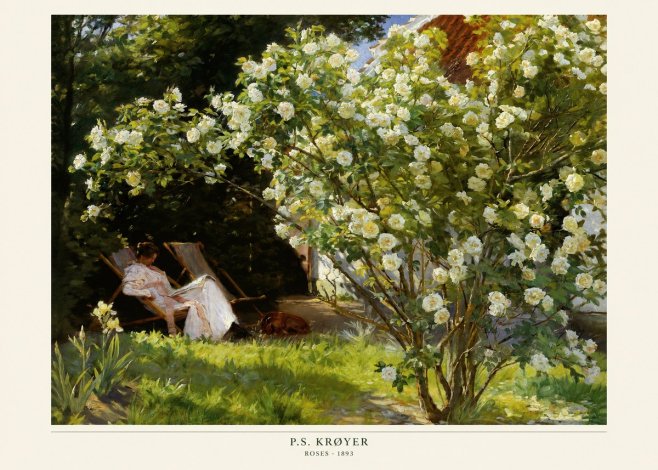 P.S. Krøyer Roses No6 - Affiche