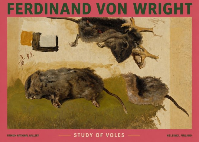 Ferdinand von Wright Studies of Lemmings No4 - Affiche