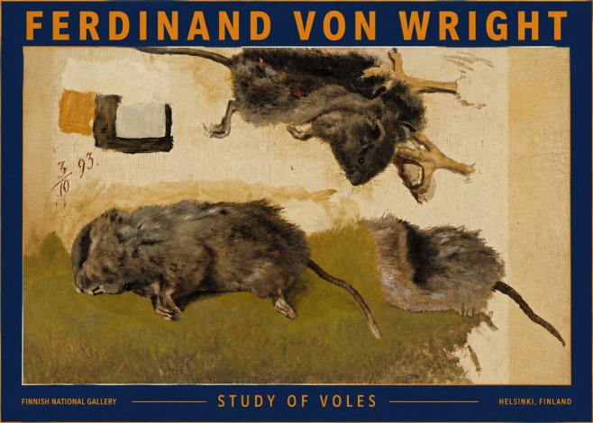 Ferdinand von Wright Studies of Lemmings No5 - Affiche