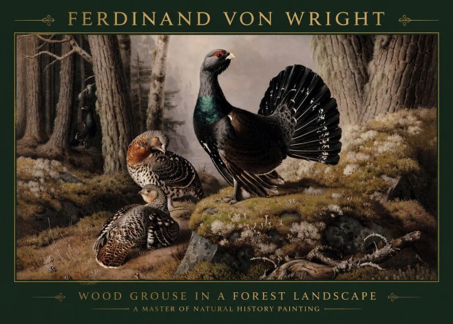 Ferdinand von Wright Wood Grouse in a Forest Landscape No3 - Affiche