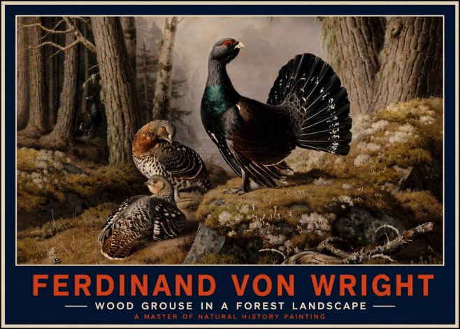 Ferdinand von Wright Wood Grouse in a Forest Landscape No4 - Affiche