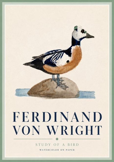 Ferdinand von Wright Study of a Bird No3 - Affiche