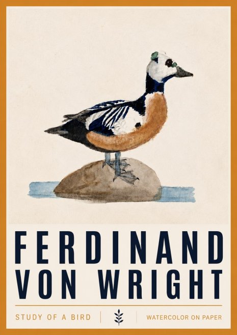 Ferdinand von Wright Study of a Bird No4 - Affiche