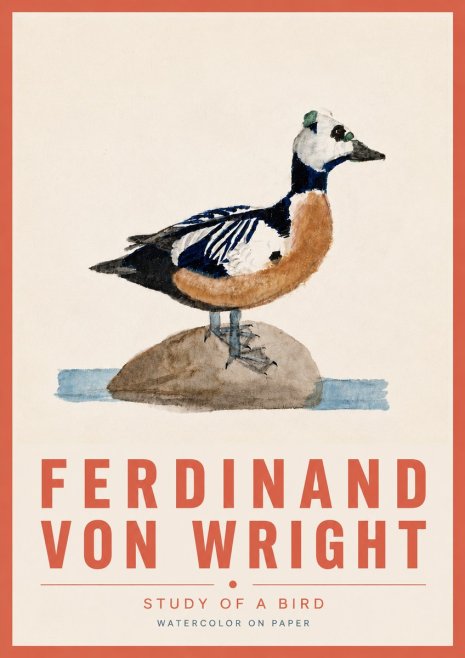 Ferdinand von Wright Study of a Bird No6 - Affiche
