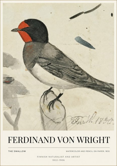 Ferdinand von Wright The Swallow No1 - Affiche