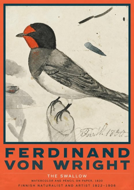 Ferdinand von Wright The Swallow No2 - Affiche