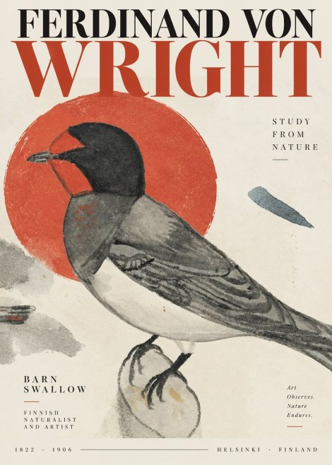 Ferdinand von Wright The Swallow No4 - Affiche