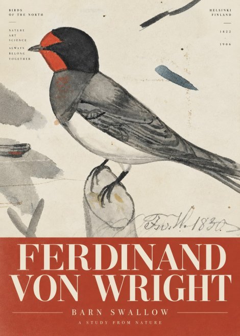 Ferdinand von Wright The Swallow No6 - Affiche