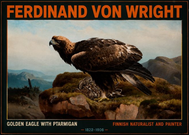 Ferdinand von Wright Golden Eagle with Ptarmigan No2 - Affiche