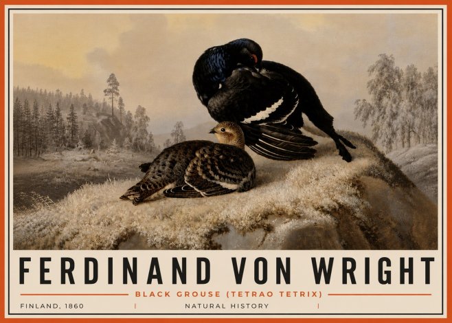 Ferdinand von Wright Black Grouse (Tetrao Tetrix) No6 - Affiche