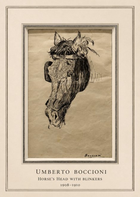 Umberto Boccioni Horse's Head with Blinkers No5 - Affiche