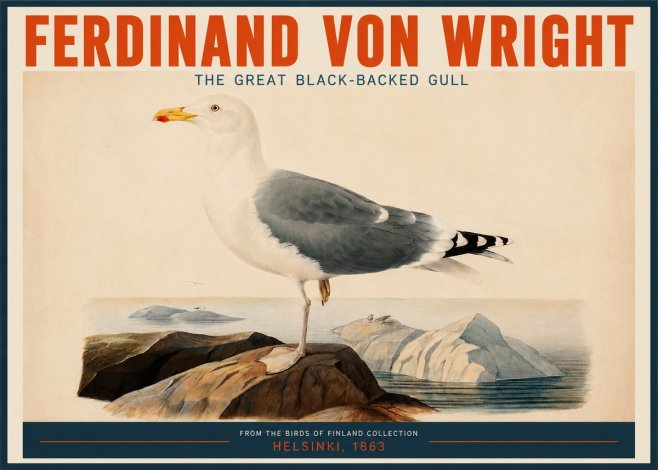 Ferdinand von Wright The Great Black-backed Gull No2 - Affiche