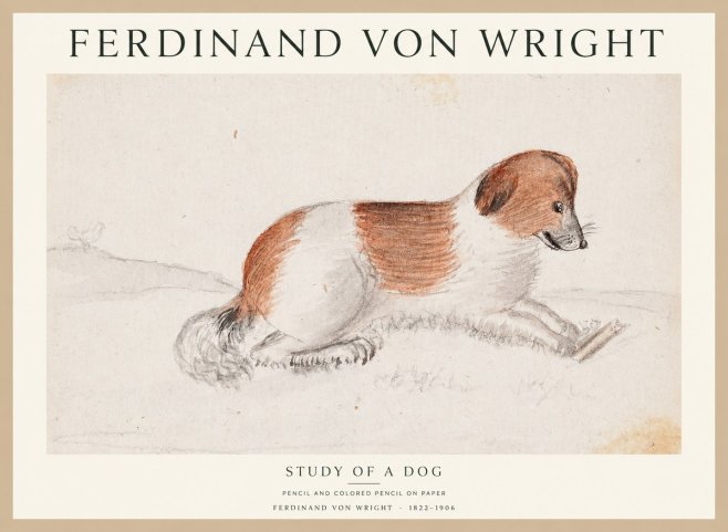 Ferdinand von Wright Study of a Dog No1 - Affiche